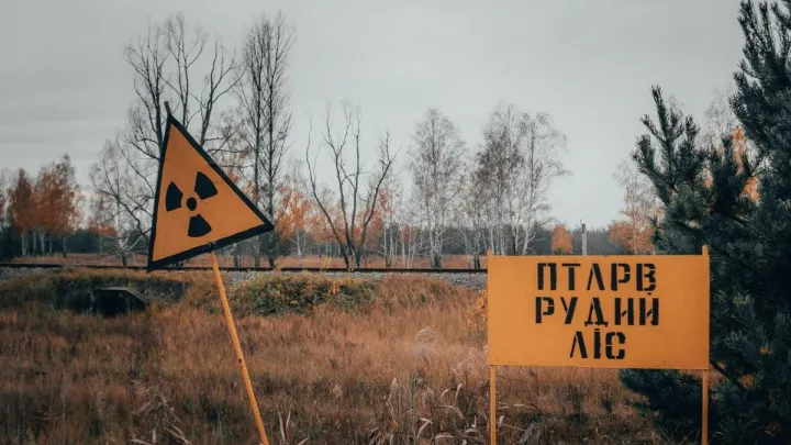 Мутації в Чорнобилі: як природа адаптувалася до радіації та які унікальні види там з'явилися