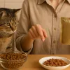Як за хвилину вибрати корм для кота – сухий і мокрий. Прості та зрозумілі кожному практичні поради