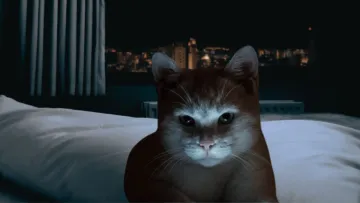 Чому коти «божеволіють» вночі: чи варто нести пухнастиків до ветеринара або змиритися з їх вибриками