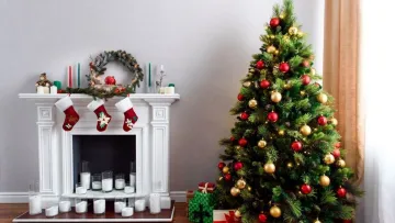 Де краще поставити новорічну ялинку в будинку: є місця, які зіпсують ваше різдвяне дерево
