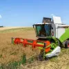 Близька до аномальної спека, нестача дощів й посуха вдарили по посівах в Україні: як погода вплинула на врожай