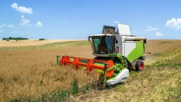 Близька до аномальної спека, нестача дощів й посуха вдарили по посівах в Україні: як погода вплинула на врожай