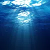 Глибокий океан досі залишається білою плямою: чому морське дно є таємницею для людства на 99,9% 