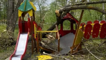 Дерево впало на дитячий майданчик, де грались дві дівчинки: чи вдалося уникнути трагедії 