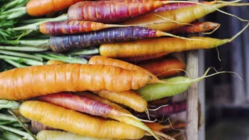 Всесвітній день моркви: 7 000 років історії, скільки її потрібно їсти та як доглядати