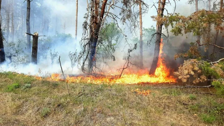 На Харківщині людей готують до екстреної евакуації: у чому причина та які громади в найбільшій небезпеці