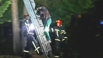 Полізла рятувати кота й ледь сама не вбилася: бійці ДСНС у Львові зняли пані з 4-метрового дерева