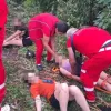 На Одещині шквальний вітер наробив горя: внаслідок падіння дерева четверо дітей постраждало, одна – загинула