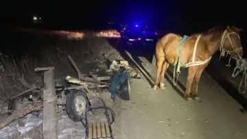 На Львівщині дорогу не поділили кінна підвода та авто: хто винен у ДТП та чи є жертви