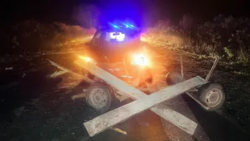 На Львівщині Mercedes влетів на швидкості у підводу: чи вижив кінь та фірман і хто винен у ДТП