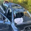 Збив лося і загинув: подробиці моторошної ДТП у Львівській області за участі тварини