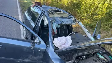 Збив лося і загинув: подробиці моторошної ДТП у Львівській області за участі тварини