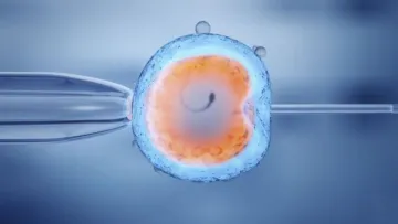 Поділ ембріонів між батьками померлого чоловіка та вдовою: резонансний суд у Дніпрі неочікувано завершився