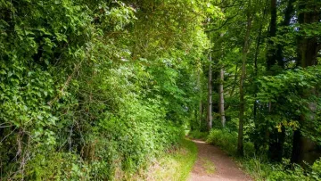 Вчені зробили нове відкриття про «Загублений світ»: яку таємницю приховував затоплений Доггерленд 