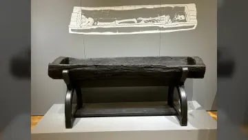 Сто років загадки: вчені нарешті з'ясували, коли померла «принцеса Багіча»