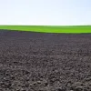 ШІ виходить на порятунок важливого ресурсу Землі: з чим допомагатиме екологам нейромережа