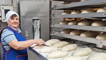 В Україні значно зросте вартість хліба: якою буде ціна продукту №1 у 2026 році – прогноз ВАП