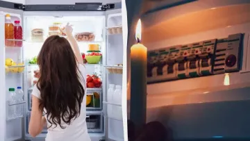 Скільки насправді не псується м'ясо, молоко та інші продукти без холодильника? Нутриціолог розповіла