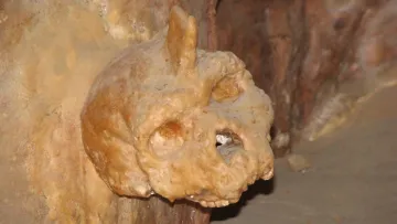 Знахідка віком майже 300 тисяч років: кому насправді належить череп із Греції