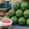 Ви теж берете половинку кавуна? Ось чому це може коштувати здоров'я
