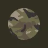 «Піксель» в українській армії замінять на адаптацію Multicam: як він виглядає