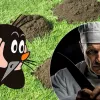У вас на дачі чи городі багато кротів? А чи можна їх їсти? Топ-5 рецептів — і пояснення чому цього не треба робити