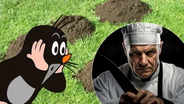 У вас на дачі чи городі багато кротів? А чи можна їх їсти? Топ-5 рецептів — і пояснення чому цього не треба робити