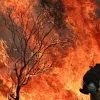 Іспанія у вогні: з півдня країни вже евакуйовано майже тисячу місцевих мешканців – чи є жертви