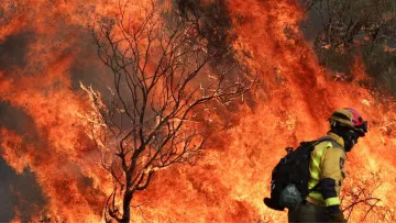 Іспанія у вогні: з півдня країни вже евакуйовано майже тисячу місцевих мешканців – чи є жертви