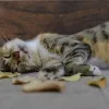 Яка погода завтра, 25 вересня: у більшості областей України нарешті вщухнуть дощі та потеплішає