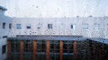 Як позбутися конденсату на вікнах взимку та вберегти оселю від грибків й цвілі: прості та дієві поради