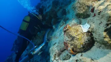 Біля берегів Туреччини знайшли найстаріший затонулий корабель у світі: скільки років судну