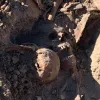 На Тернопільщині через моторошну знахідку призупинили ремонт дороги: що ховалося під старим полотном