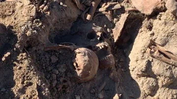 На Тернопільщині через моторошну знахідку призупинили ремонт дороги: що ховалося під старим полотном