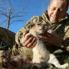 Леви розірвали власника зоопарку в окупованому Криму Олега Зубкова – відео: раніше він вкрав єнота у Херсоні