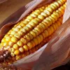 Шеф-кухарі розкрили секрети при виборі кукурудзи: ось на що варто звернути увагу українцям в магазинах