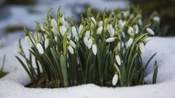 Яка погода завтра, 2 березня: синоптик дав прогноз, якою буде температура повітря у понеділок