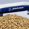 Інженери компанії Boeing провели масштабний експеримент, замінивши людей мішками з картоплею: що за дивина
