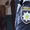 Такого гостя у Святошинському районі не чекали: у під’їзді багатоповерхівки знайшли справжнього лося