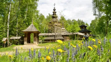 «Налив дві чарки горілки, дістав печиво»: у Львові працівників музею домагався до відвідувачки