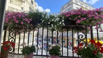 Змагання по-львівськи: Міськрада провела конкурс і нагородила власників найкращих балконів і підвіконь – фото