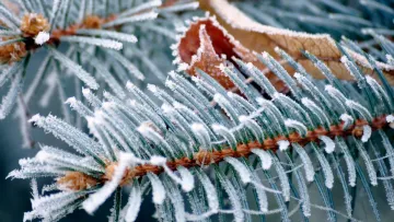 Прогноз погоди на середу, 14 січня: мороз не відступить, але без істотних опадів