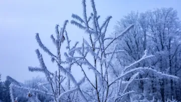 Прогноз погоди на завтра, 20 січня: синоптики повідомили, чи відступлять з України морози у -20°С