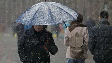 Яка погода завтра, 16 березня: в північних та східних областях України похолодає, можливий навіть мокрий сніг