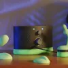 Колишній інженер Google і NASA створив музичний вібратор Groove Thing: як він працює та скільки коштуватиме