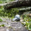 Потужний циклон накрив північ Європи: найбільше дісталося балтійським країнам, відомо про жертви