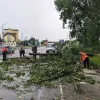 Негода накоїла лиха на Львівщині: скільки населених пунктів нині знеструмлено