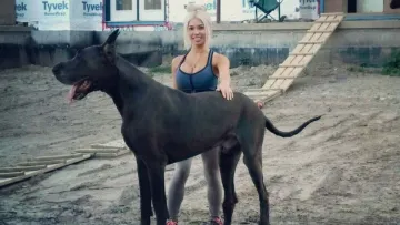 Названо топ-8 найспокійніших порід собак: деякі представники списку точно здивують