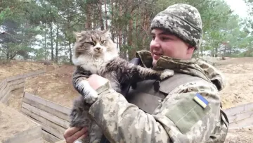 «Що ж з нами сталося, українці?»: Київський обласний ТЦК відрегував на відео із викраденням кота