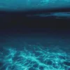 Золото на дні океану: японські вчені зробили шокуюче відкриття щодо дорогоцінного металу